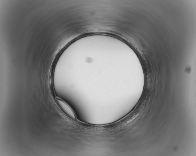 X0000097300885200803141530