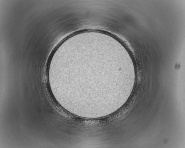 X0000097300887200803141530