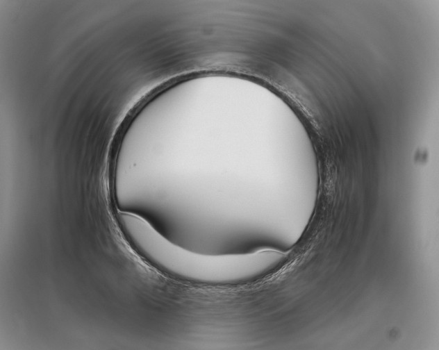 X0000097300888200803141530