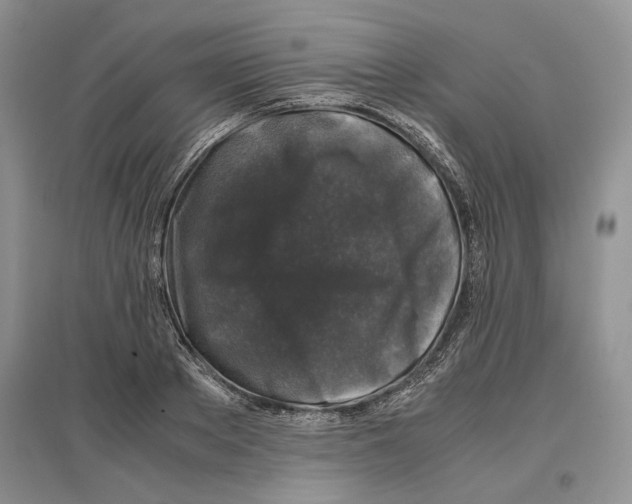 X0000097300889200803141530
