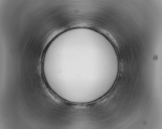 X0000097300890200803141530