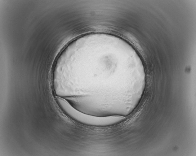 X0000097300891200803141530