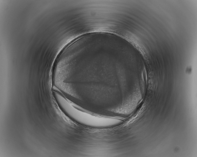 X0000097300892200803141529
