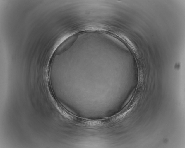 X0000097300893200803141529