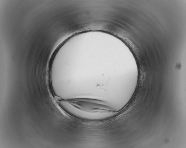 X0000097300894200803141529