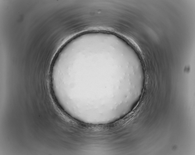 X0000097300895200803141529