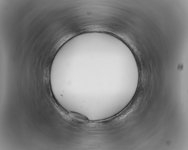 X0000097300897200803141529