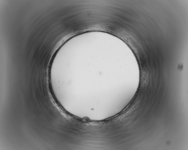 X0000097300898200803141529