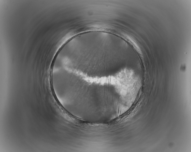 X0000097300899200803141529