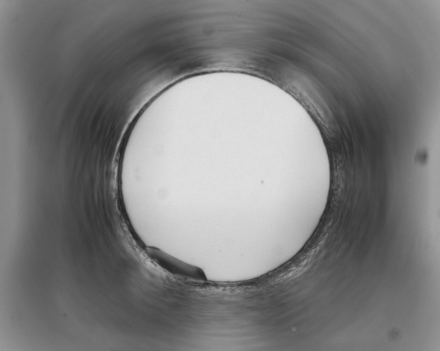 X0000097300900200803141529