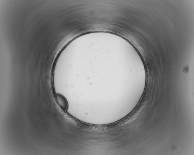 X0000097300901200803141529