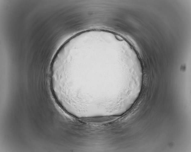 X0000097300903200803141529
