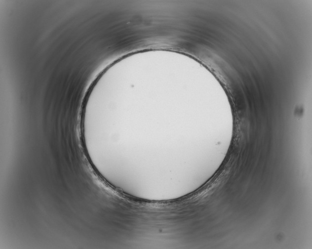 X0000097300904200803141529