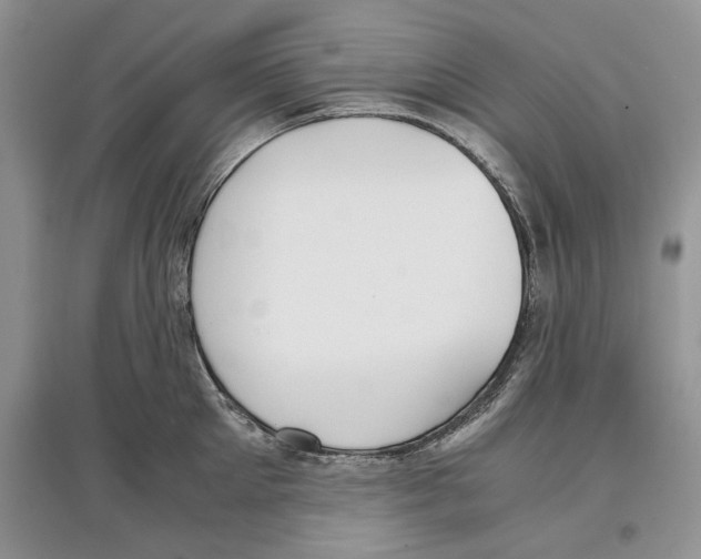 X0000097300905200803141529