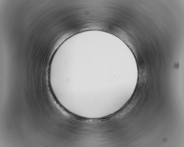 X0000097300906200803141529
