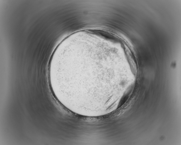 X0000097300907200803141529