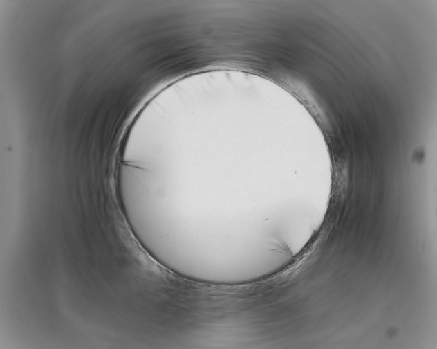 X0000097300908200803141529