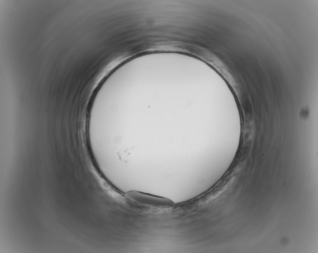 X0000097300909200803141529