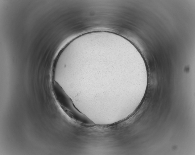 X0000097300910200803141529