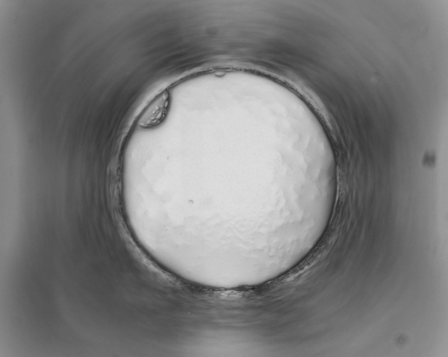 X0000097300911200803141529