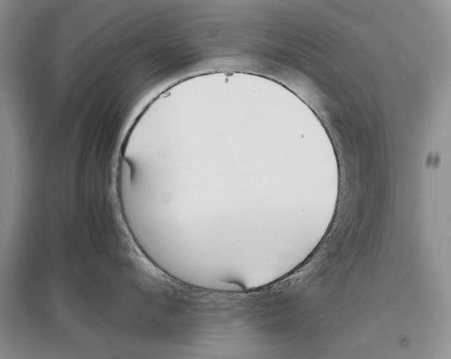 X0000097300912200803141529