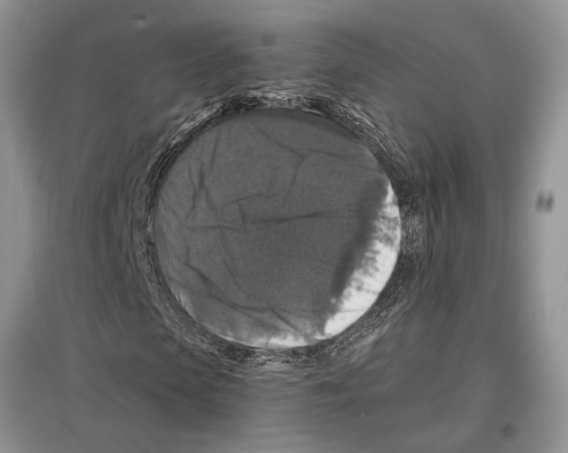 X0000097300913200803141529