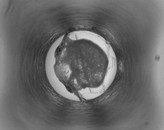 X0000097300915200803141529