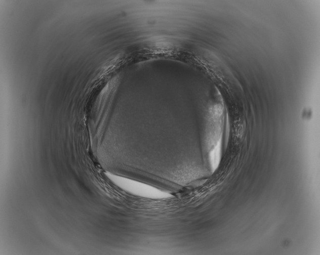 X0000097300916200803141529