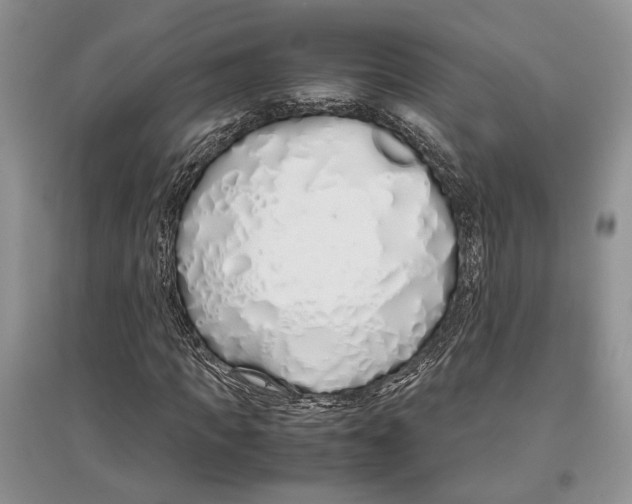 X0000097300917200803141529