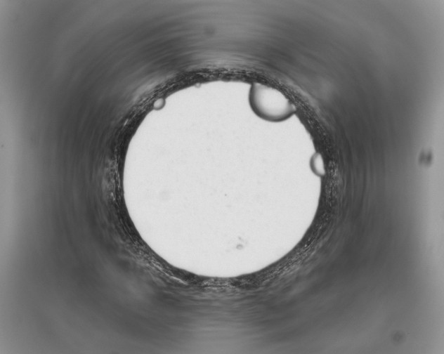 X0000097300918200803141529