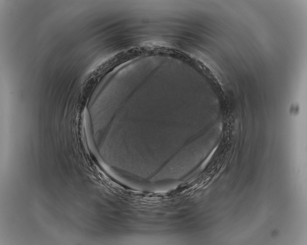 X0000097300919200803141529
