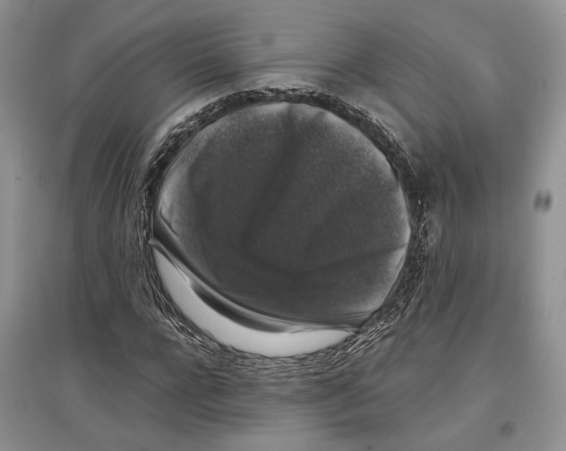 X0000097300920200803141529