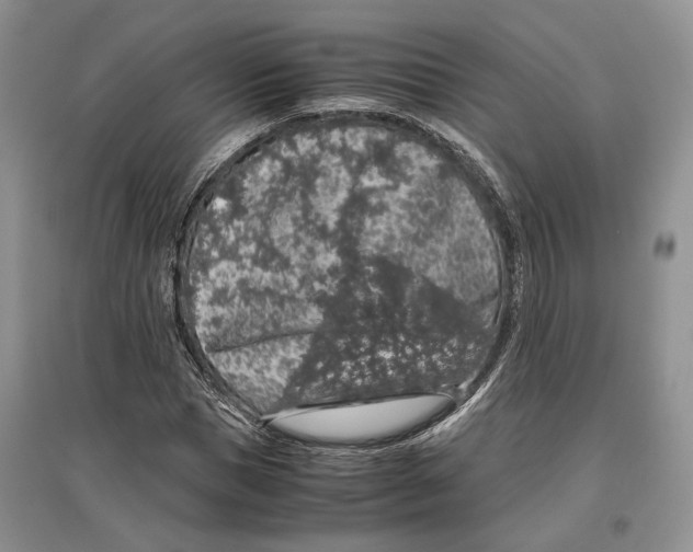 X0000097300921200803141529