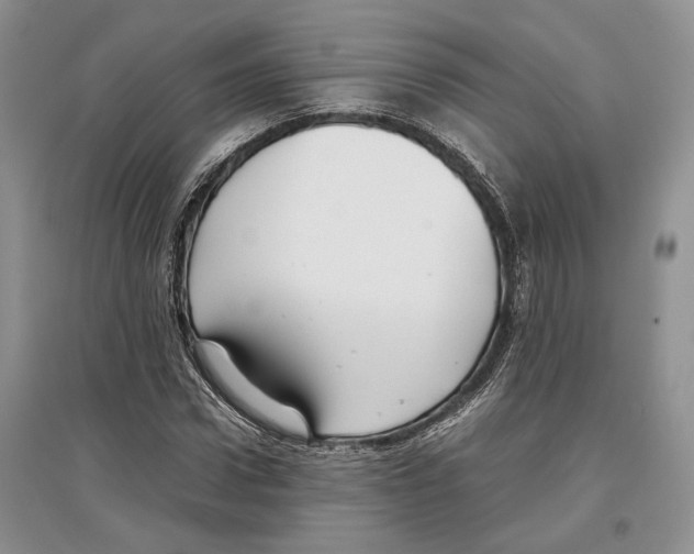 X0000097300922200803141529