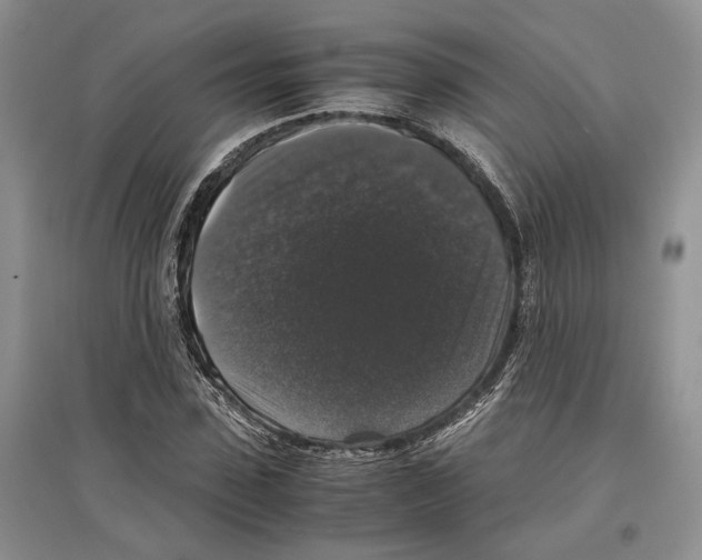X0000097300923200803141529