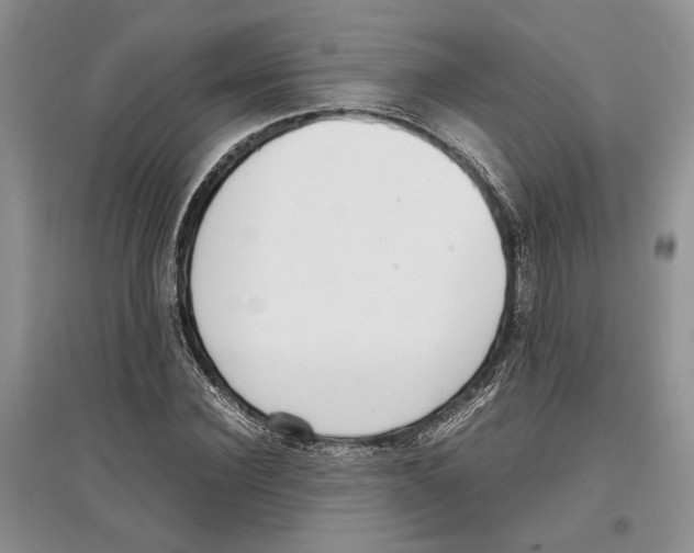 X0000097300924200803141529