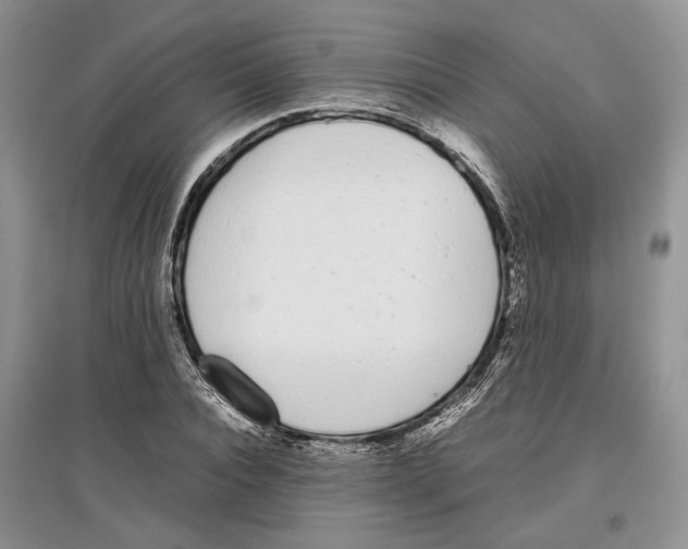 X0000097300928200803141529