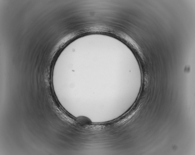 X0000097300930200803141529