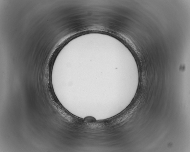 X0000097300931200803141529