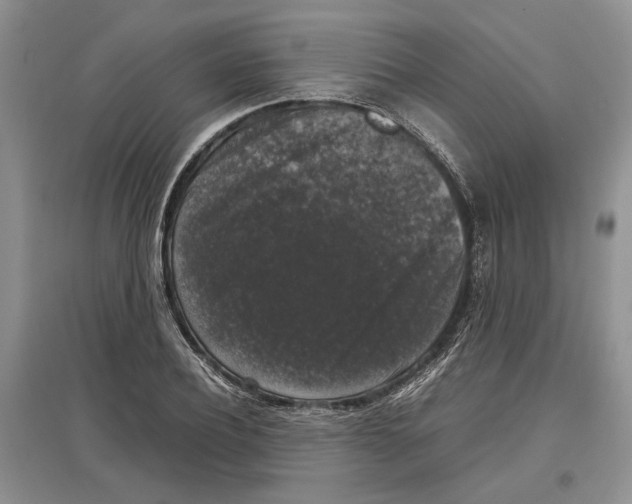 X0000097300932200803141529