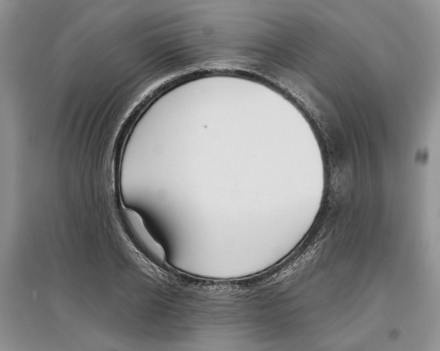 X0000097300934200803141529