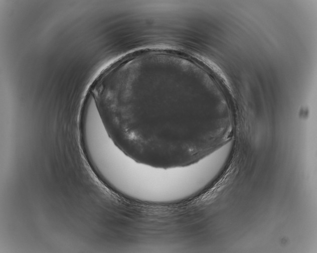 X0000097300935200803141529