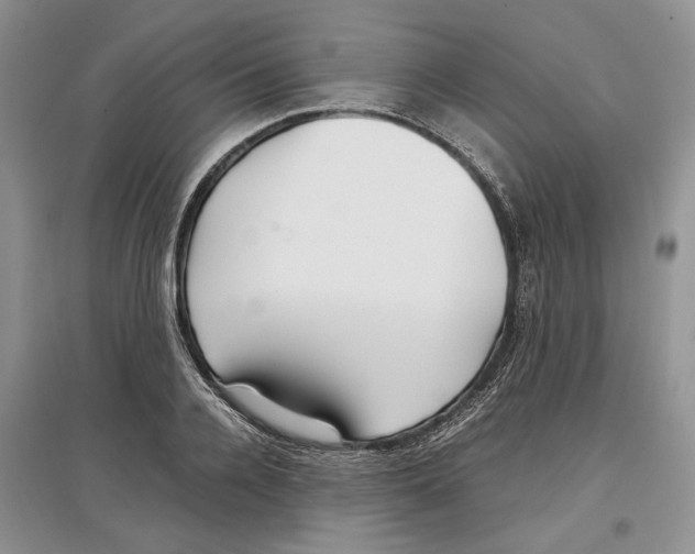 X0000097300936200803141529