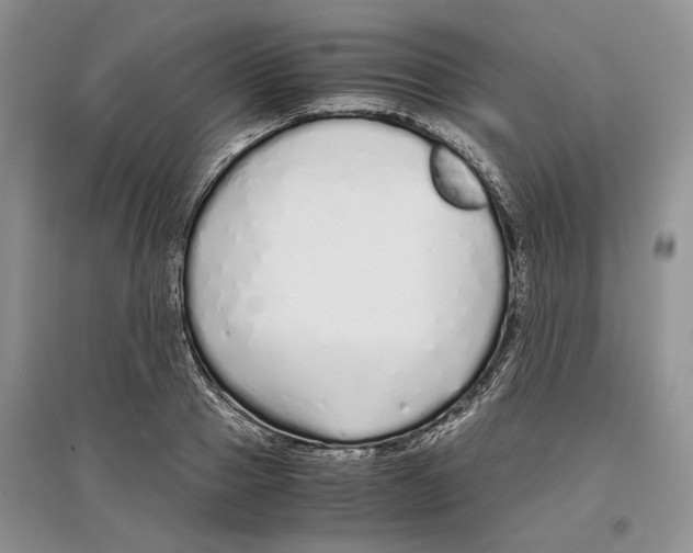 X0000097300937200803141529
