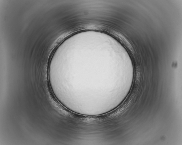 X0000097300938200803141529