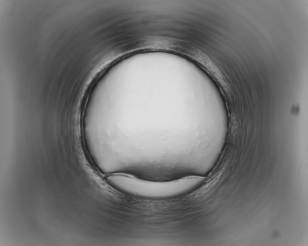 X0000097300939200803141529