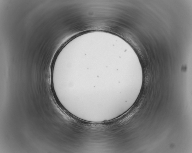 X0000097300940200803141529