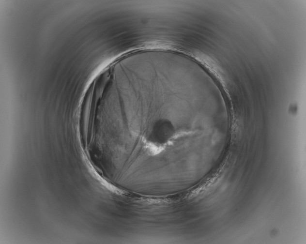 X0000097300941200803141529