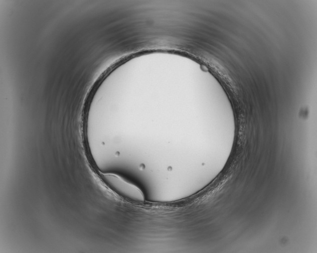 X0000097300942200803141529