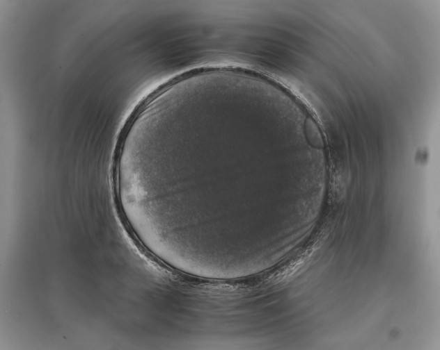 X0000097300943200803141529
